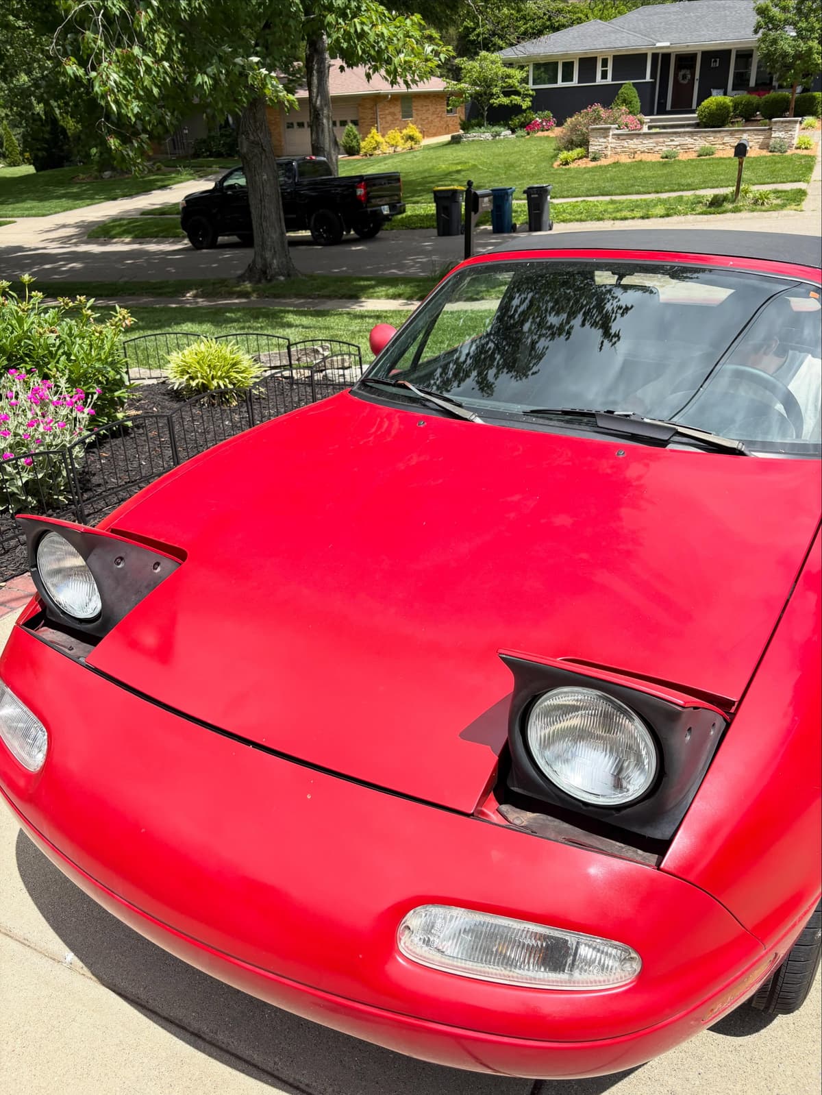Before detailing